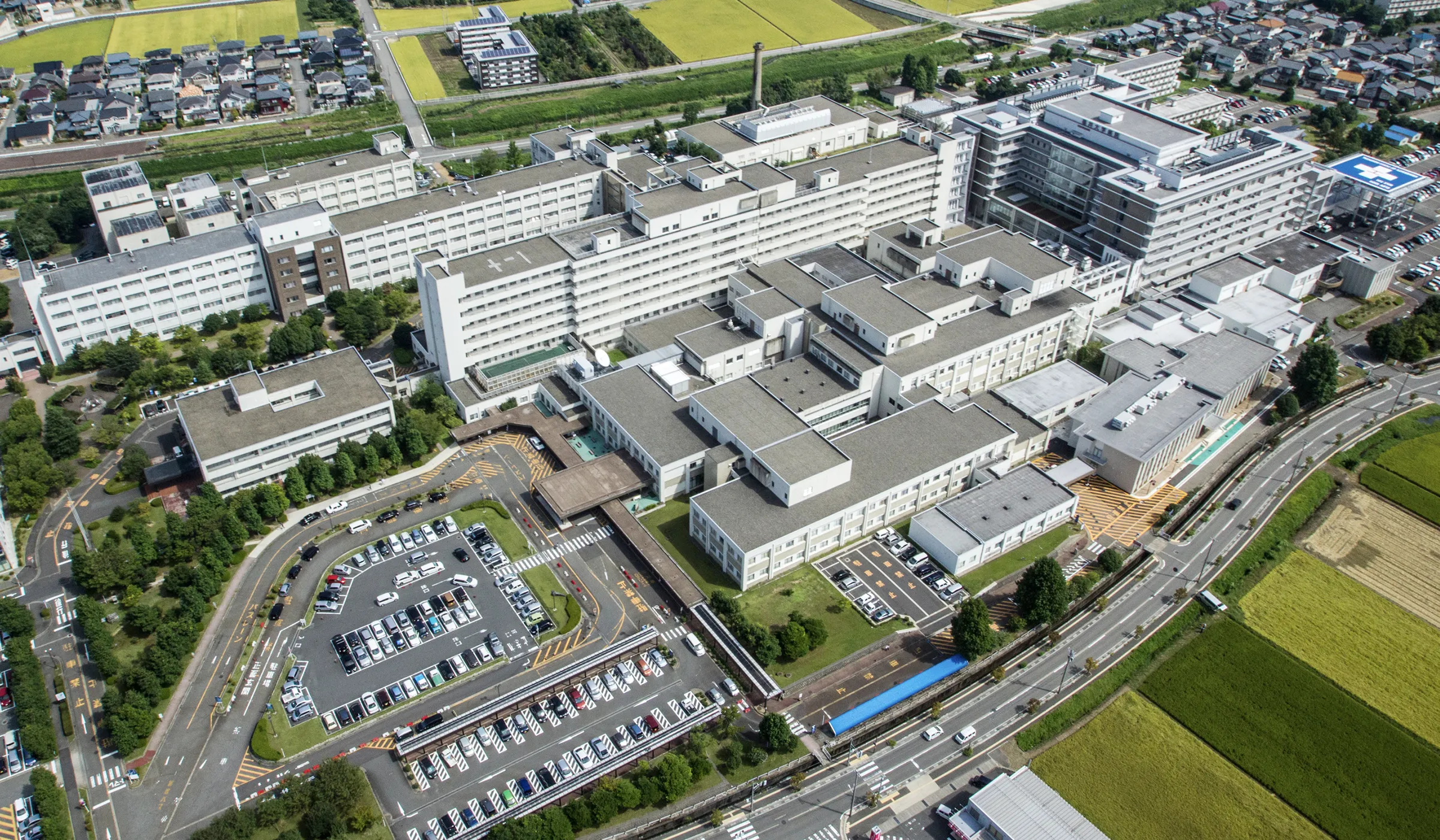 福井大学医学部 病態制御医学講座 皮膚科学